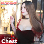 Ngực Giả Silicon Cao Cấp Như Thật CNG770